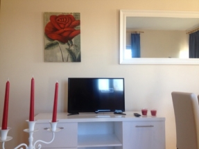 photo 3 (1)